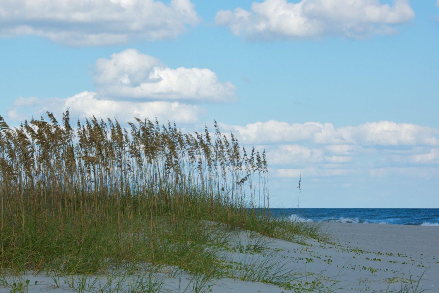 Sea Cabin On The Ocean - 146 Vila Myrtle Beach Exterior foto